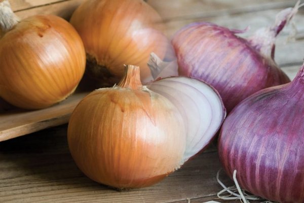 Правильный сайт крамп onion top