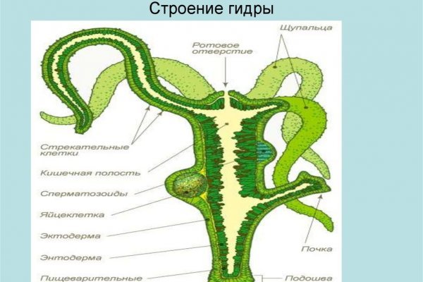 Маркетплейс кракен в россии