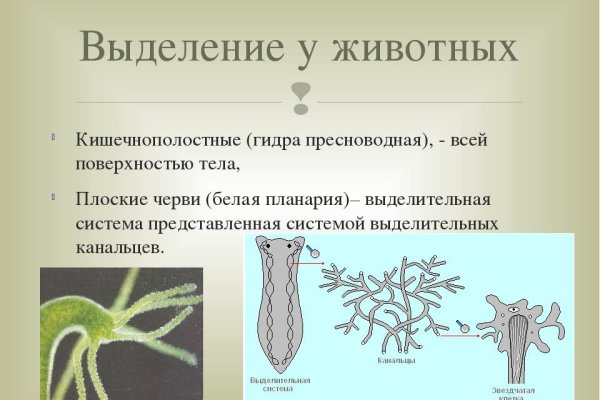 Кракен маркетплейс товары