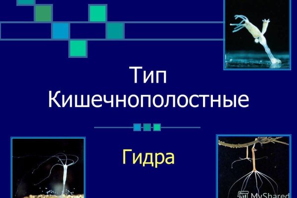Кракен зеркало gigageek ru